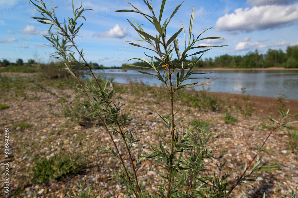 Gravel bars on the Drina river between Serbia and Bosnia and Herzegoovina