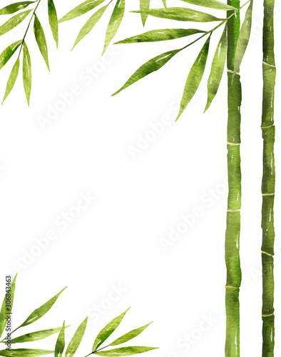 Watercolor vector bamboo stem with green leaves and copy space.