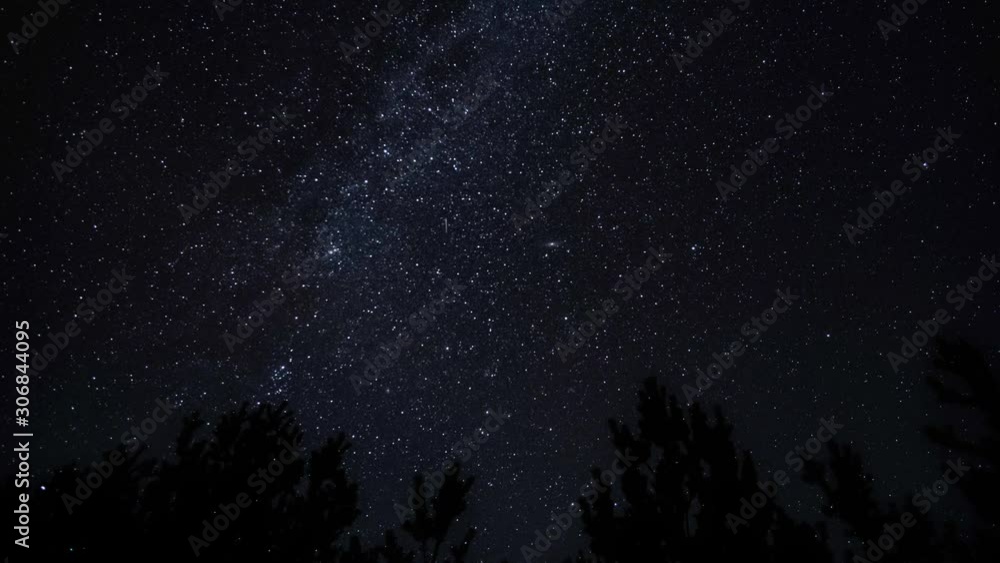 The Milky Way is moving in the night sky over the silhouettes of trees. Timelapse. 4K