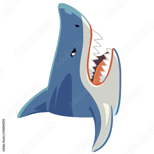 サメのイラスト　上向き