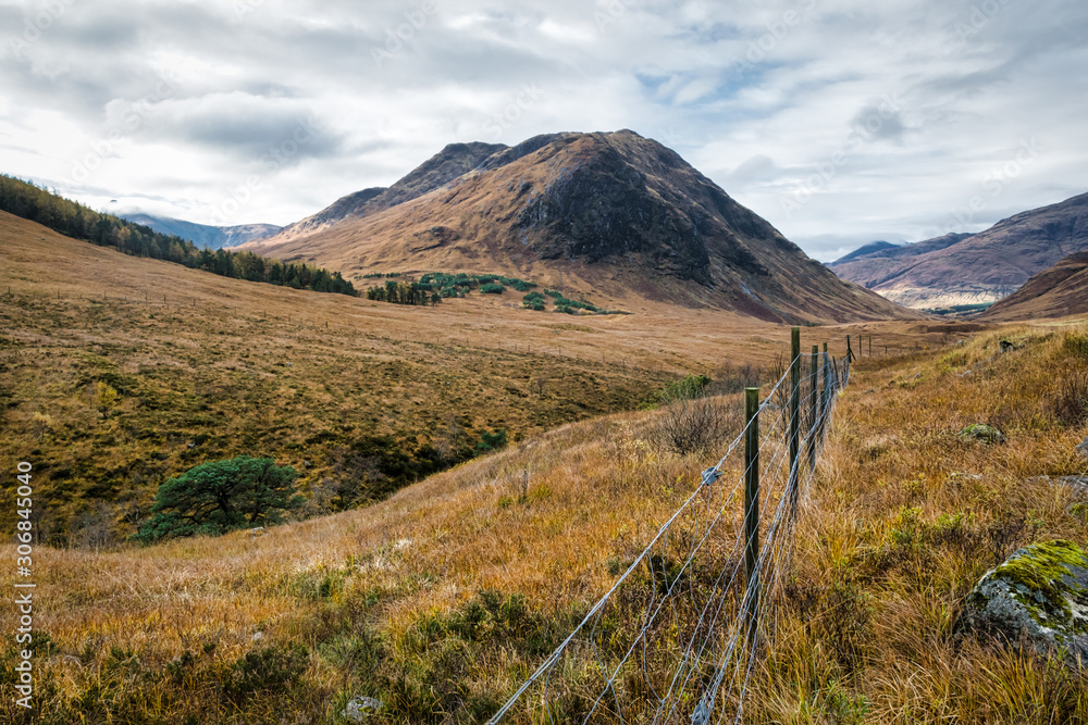 Fence through the Highlands