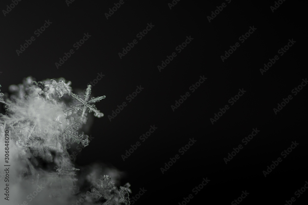 Fototapeta premium einzelner sechsarmiger schneekristall