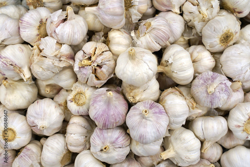 fresh garlic on the market
