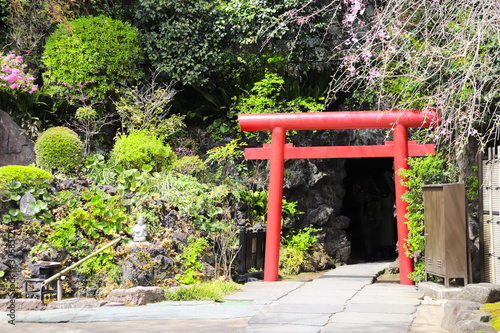 Red Torii Gate in Hasedera temple, Kamakura, Japan