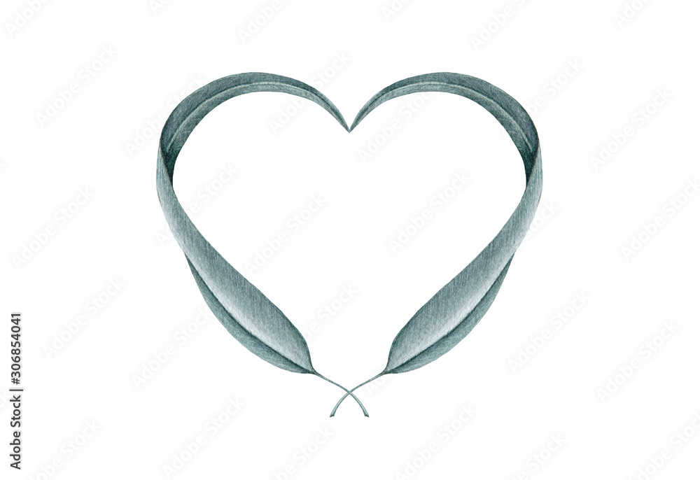 Eucalyptus heart shape leaves watercolor illustration. Hand drawn close up botanical medical herb and romantic element. Decorative love element. Isolated on white background. Eucalyptus heart shape leaves watercolor illustration. Hand drawn close up botanical medical herb and romantic element. Decorative love element. Isolated on white background.