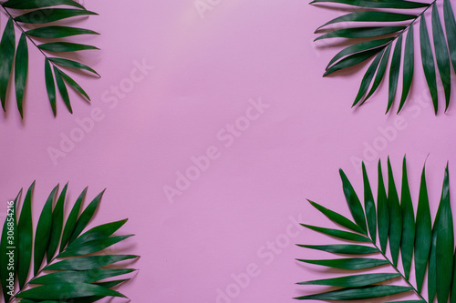 Tropical palm leaves frame on pink background. flat lay