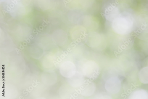 Blurred sky background with nature glowing sun light flare and green bokeh. Abstract blur green color for background, blurred and defocused effect spring concept for design.