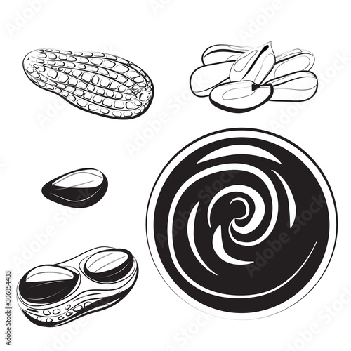 black and white vector peanut set