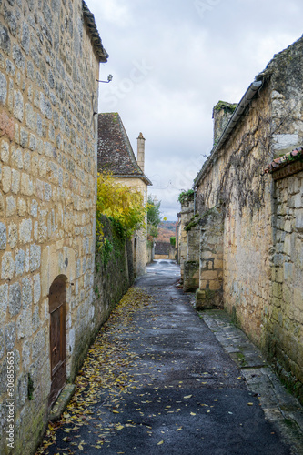Fototapeta Naklejka Na Ścianę i Meble -  Domme is classified as one of the most beautiful villages of France and occupies a splendid position high above the Dordogne river