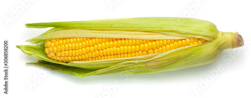 Obraz na płótnie Corn in the leaves isolated on white background.