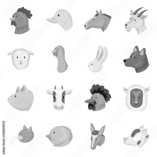 Vector design of countryside and homestead icon. Collection of countryside and breeding stock vector illustration.