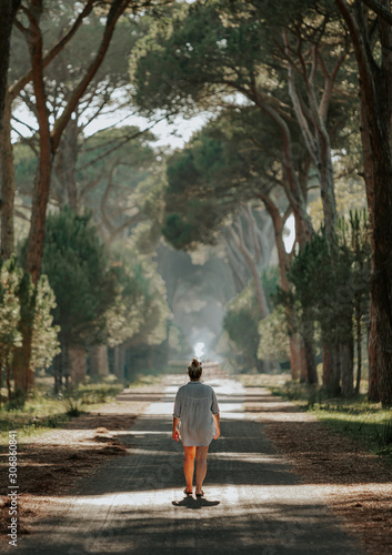 Wallpaper Mural Back view portrait of a blonde woman walking through a pine road in the natural park of Migliarino San Rossore Massaciuccoli.  Torontodigital.ca