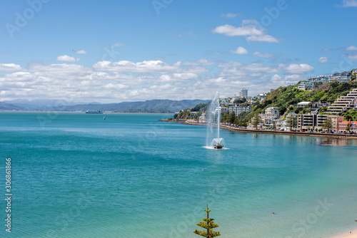 Wellington's Oriental Bay on a clear spring day with interislander arriving photo