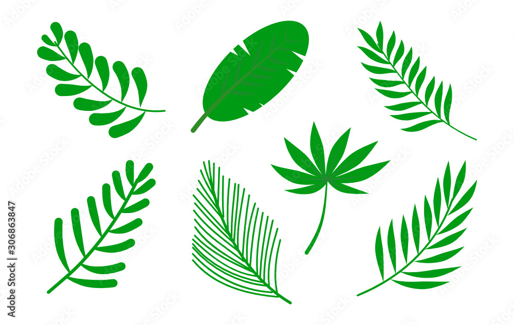 Fototapeta Set of green leave icon on white background. Vector illustration.