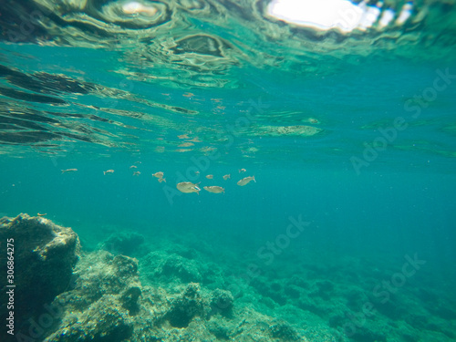 Underwater image Biniancolla village Minorca Balearics Spain