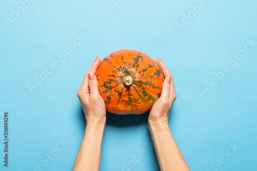 Female hand holds a pumpkin on a blue background. Thanksgiving day concept  harvest  cook food. Flat lay  top view