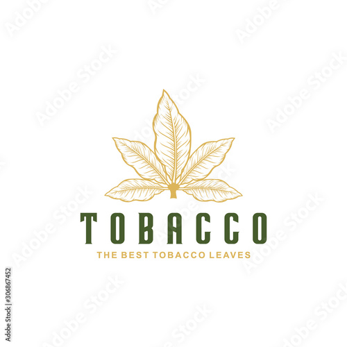 Tobacco leaf vintage logo design for tobacco store. Vector tobacco leaf