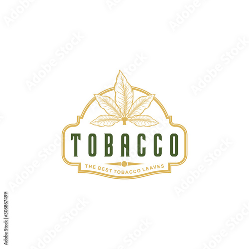 Tobacco leaf vintage logo design for tobacco store. Vector tobacco leaf