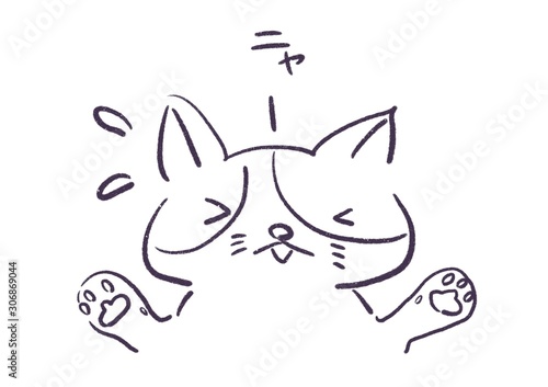 猫 焦る 慌てる 驚く イラスト Stock イラスト Adobe Stock