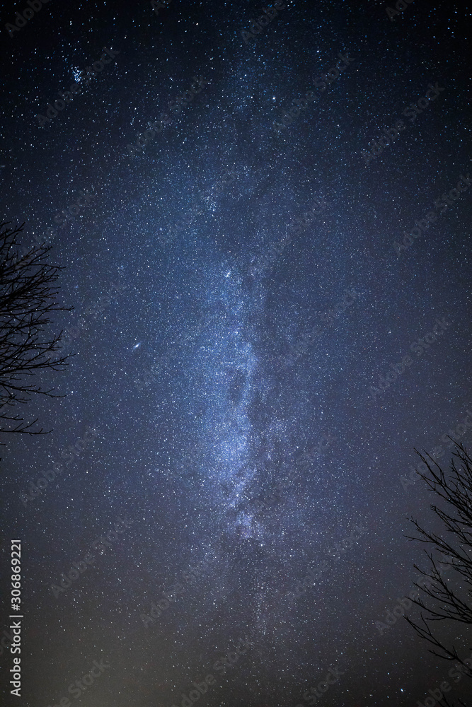 Night landscape with Milky Way and trees. Starry sky in summer. Beautiful universe. Space background Night landscape with Milky Way and trees. Starry sky in summer. Beautiful universe. Space background