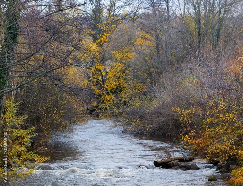 Nature, Auvergne, France, Paysages, Automne, héron