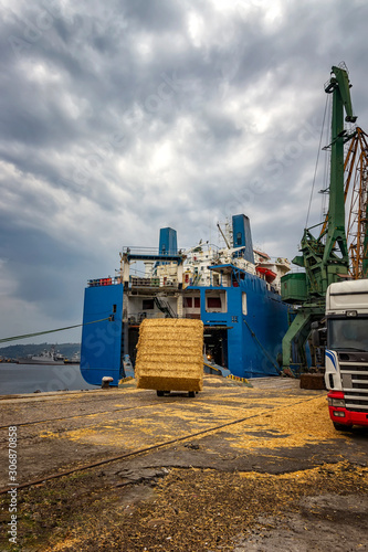  Telescopic handler unloading bales from truck. Vertical view. Work in a port