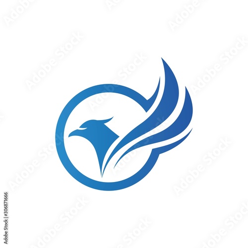 Falcon Wing Logo