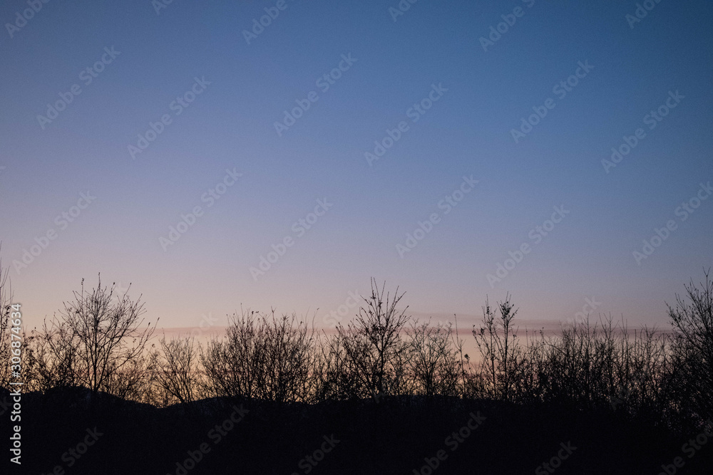 Fototapeta premium Dusk picture of the sky with silhouette of the trees and bushes.