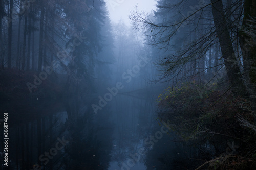 Nebel Wald 