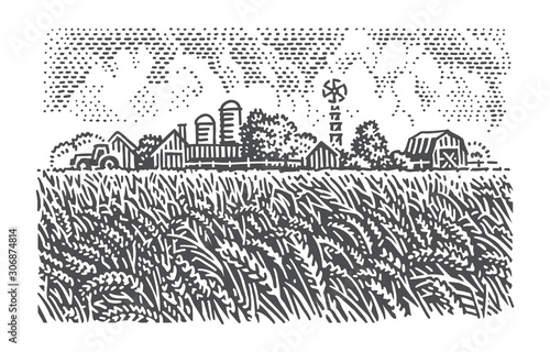 Wheat field near farmhouses and barns monochrome vector illustration. 