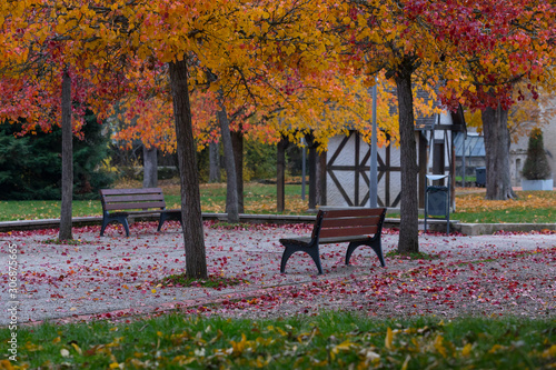 parc, automne, banc, arbre, couleurs