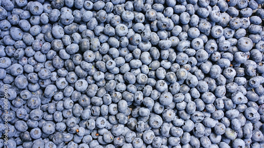 Fresh organic blueberries at a farmers market in summer Fresh organic blueberries at a farmers market in summer