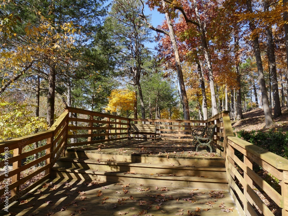 Colorful trees in autumn casting shadows in a wooden walkway at a park
