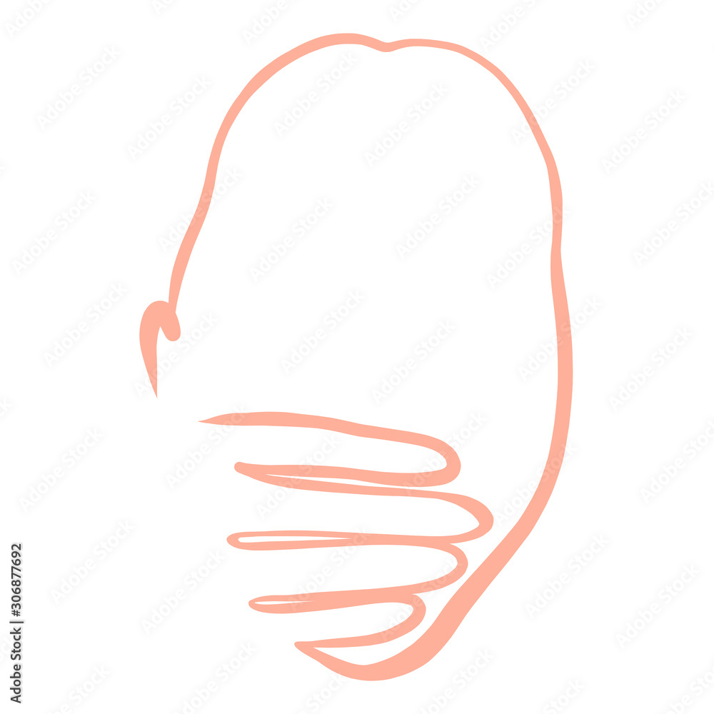 face and ear contour, woman covers her mouth with her hand face and ear contour, woman covers her mouth with her hand
