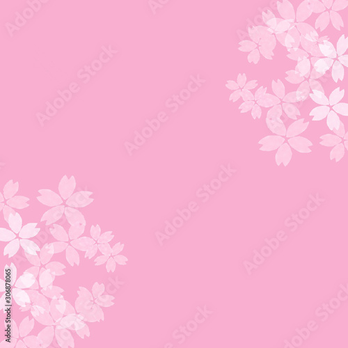桜　春イラスト