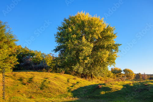 Beautiful green hill with colorful trees