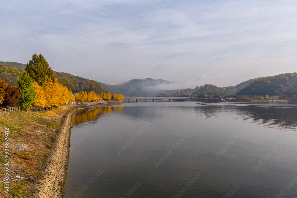Fototapeta premium A landscape view of a Lake be colored by Autumn Fall Maple