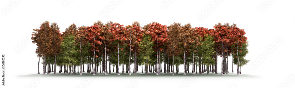 Naklejka premium Color trees isolated on white background Forest and foliage in autumn 3d render