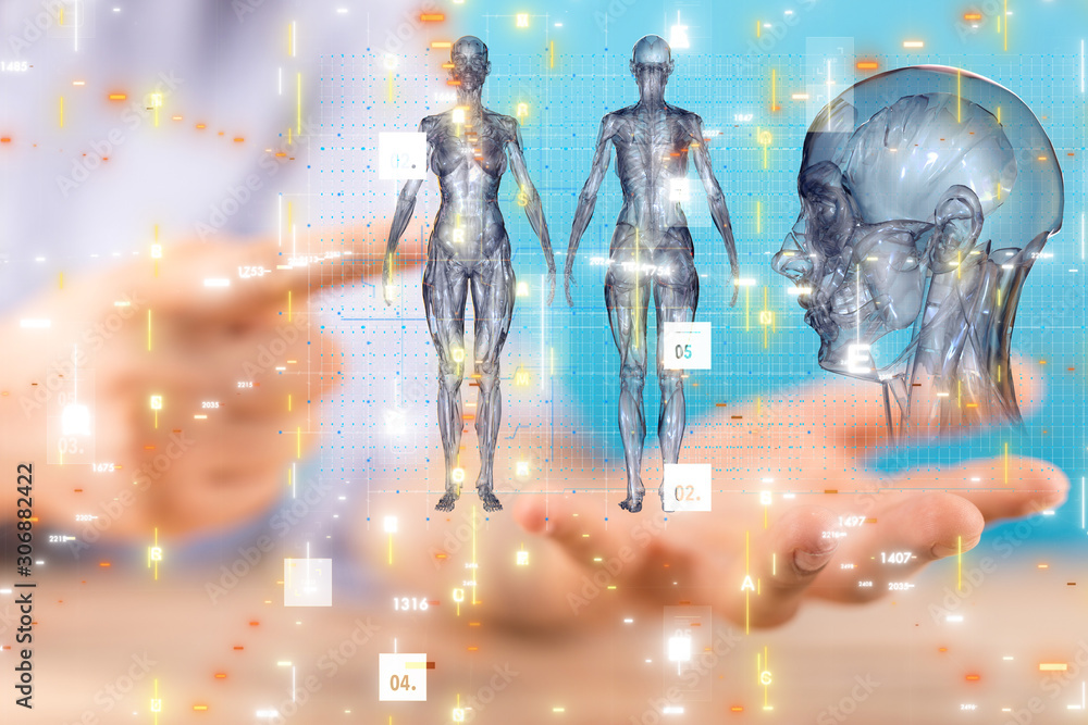 Obraz premium interface as medical network concept