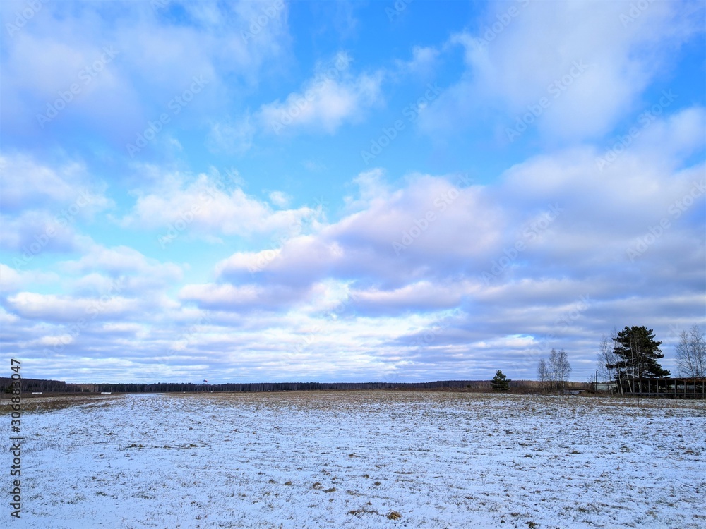 Landscape with distant horizon in winter with field, trees and distant forest against blue sky with clouds