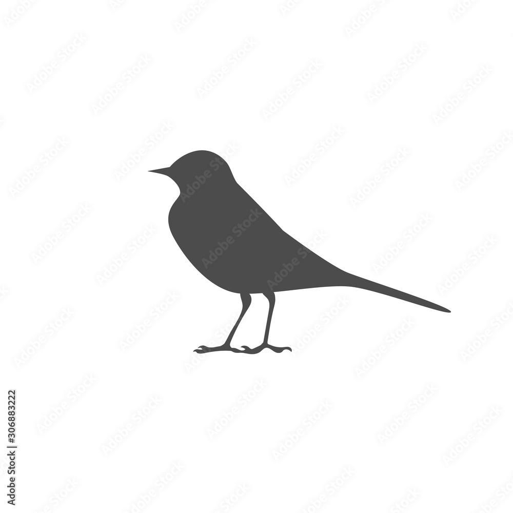 Obraz premium Wagtail icon. Small bird. Vector illustration