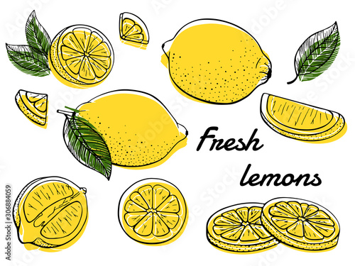 Collection yellow fresh lemons. Set of citrus fruits. Ripe lime, slices, plant leaf, cut pieces, green leaves. Hand drawn. Colorful vector illustration isolated on white background. Design elements.