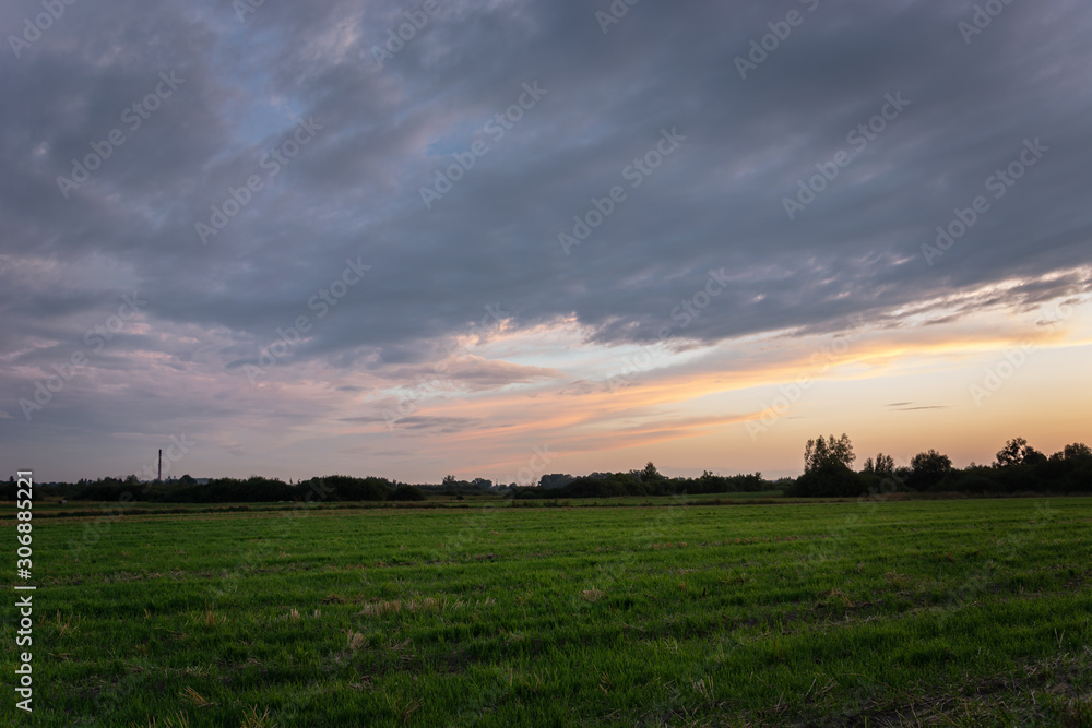 Green field, horizon and clouds on the sky after sunset
