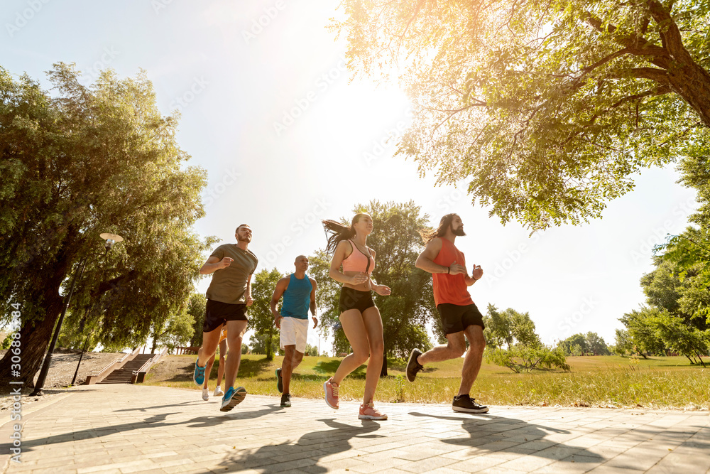 Obraz premium Athletic young people jogging in the park.