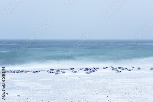 Winter sea landscape. Long exposure. Icy sea and seagull birds on the shore.