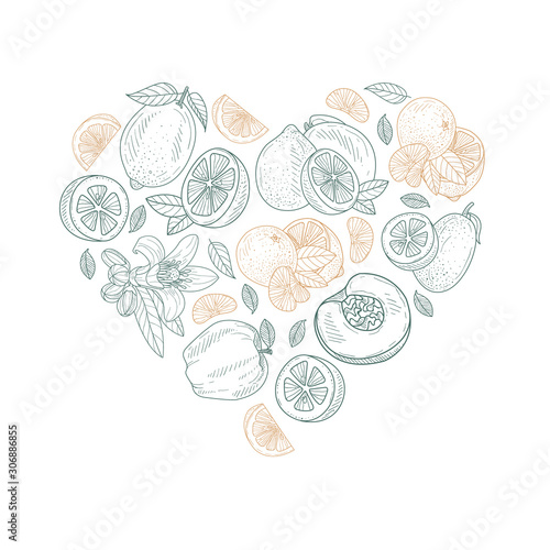 Heart shape pattern made from fruit contours. Vector illustration.