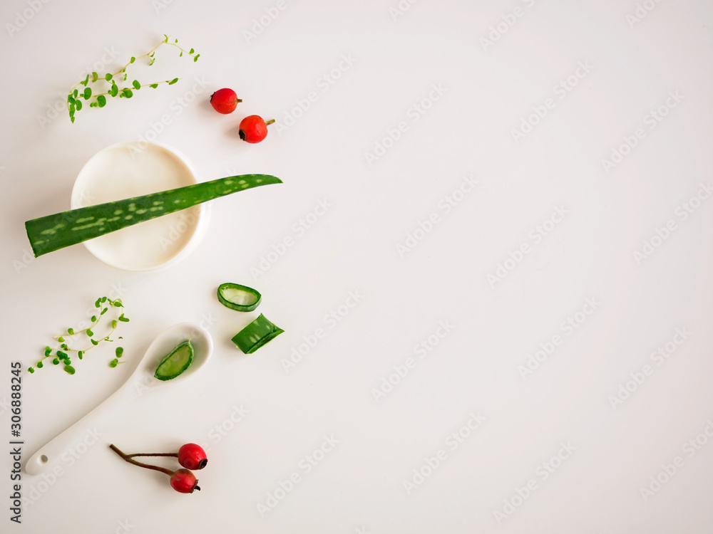 Naturkosmetik selber machen mit Aloe vera und Hagebutten auf einem weißen Hintergrund, Flat lay
