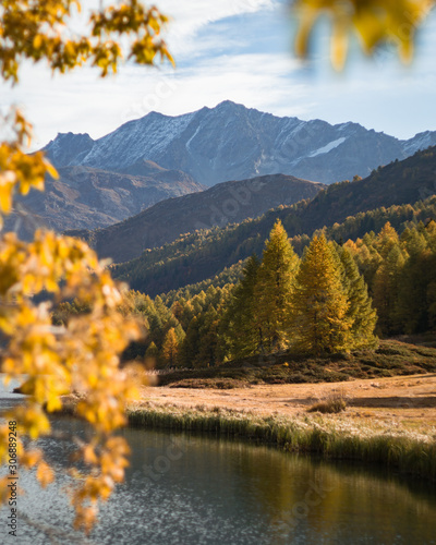 The Sils lake, the forest, the nature and the alps near the village of Maloja, Engadin, Switzerland - October 2019. © Roberto