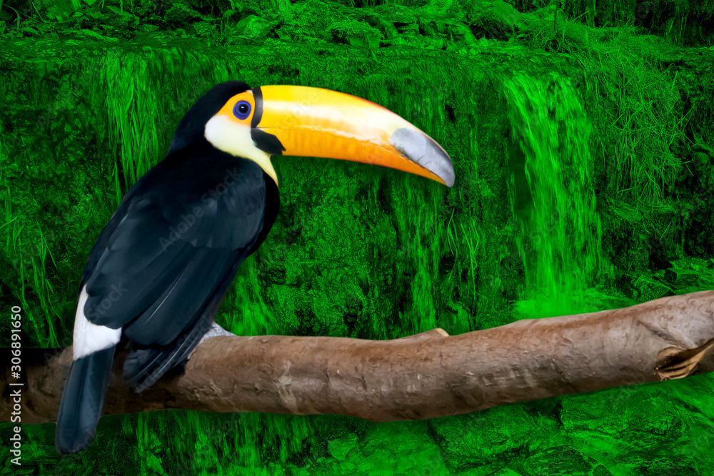 Naklejka premium Bright toucan with a large yellow beak sitting on a branch isolated on green toned landscape