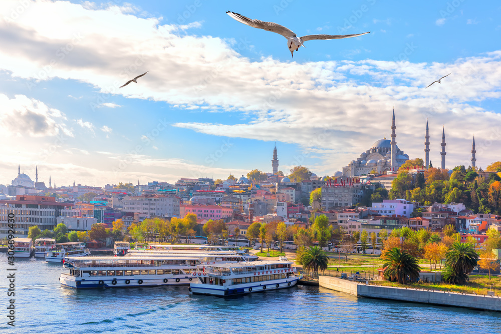 Eminonu pier and the Suleymaniye Mosque in Istanbul, Turkey